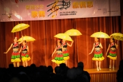 <h5>中西區兒童舞蹈團表演－彝族舞</h5><p>Central & Western District Children Dancing Troupe performs- the Yi ethnic   dance</p>