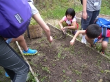 <h5>孩子們要動手耕種了</h5><p>Kids do the cultivation work by themselves</p>